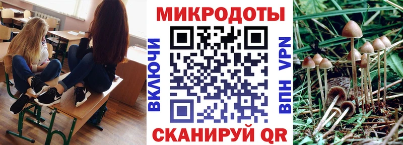 площадка официальный сайт  Демидов  Галлюциногенные грибы Cubensis  купить наркоту 